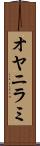 オヤニラミ Scroll