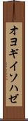 オヨギイソハゼ Scroll