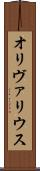 オリヴァリウス Scroll