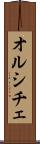 オルシチェ Scroll