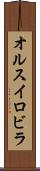 オルスイロビラ Scroll