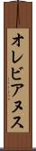 オレビアヌス Scroll