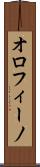 オロフィーノ Scroll