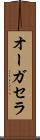 オーガセラ Scroll