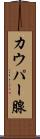 カウパー腺 Scroll