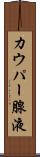 カウパー腺液 Scroll