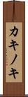 カキノキ Scroll