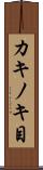 カキノキ目 Scroll