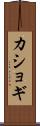 カショギ Scroll