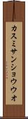 カスミサンショウウオ Scroll