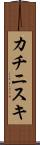 カチニスキ Scroll