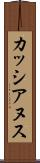 カッシアヌス Scroll