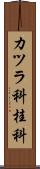 カツラ科 Scroll