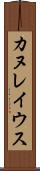 カヌレイウス Scroll