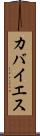 カバイエス Scroll