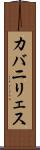 カバニリェス Scroll