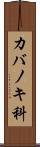 カバノキ科 Scroll