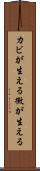 カビが生える Scroll