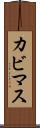 カビマス Scroll