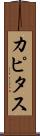 カピタス Scroll