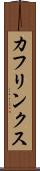 カフリンクス Scroll