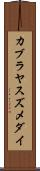 カブラヤスズメダイ Scroll