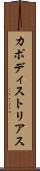 カポディストリアス Scroll