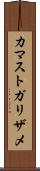 カマストガリザメ Scroll
