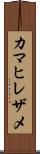 カマヒレザメ Scroll