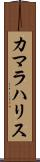 カマラハリス Scroll