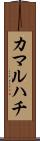 カマルハチ Scroll