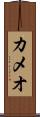 カメオ Scroll