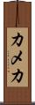 カメカ Scroll