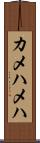 カメハメハ Scroll