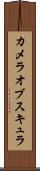 カメラオブスキュラ Scroll