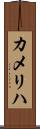 カメリハ Scroll