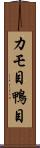 カモ目 Scroll
