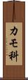カモ科 Scroll