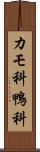 カモ科 Scroll