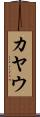 カヤウ Scroll