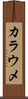 カラウメ Scroll