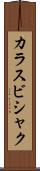 カラスビシャク Scroll