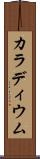 カラディウム Scroll