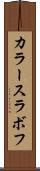 カラースラボフ Scroll