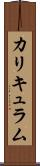 カリキュラム Scroll