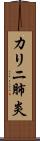 カリニ肺炎 Scroll