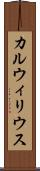 カルウィリウス Scroll