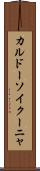 カルドーソイクーニャ Scroll