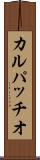 カルパッチオ Scroll