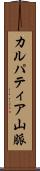 カルパティア山脈 Scroll